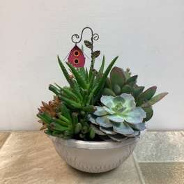 Succulent Gem