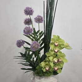 Horsetail