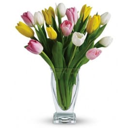 Bouquet of pink, yellow, and white tulips in a clear glass vase