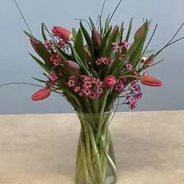 "Say I Love You" Tulips