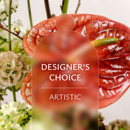 Designers Choice: Artistic