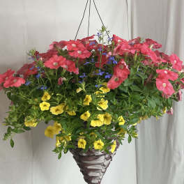 Hanging basket of pink and yellow flowers with small blue accents