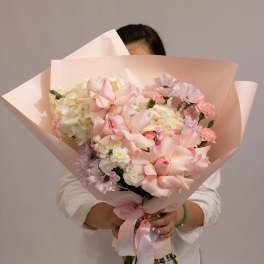 Blush Harmony