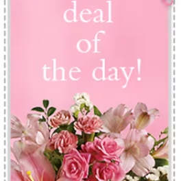 Deal of today
