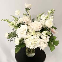 Pure White - English Garden - Luxury Collection