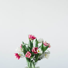 Tulip Frenzy
