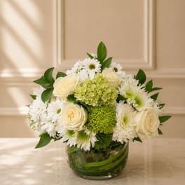 Ivory Garden