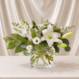 Pure  Centerpiece