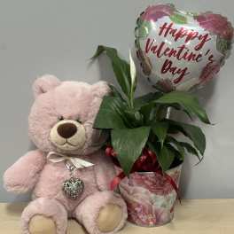Valentine Plant & Pink Bear