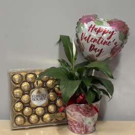 Valentine Plant & Chocolates