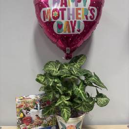 Mom’s Day Plant & Puzzle