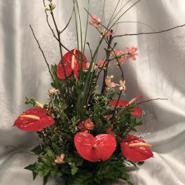 Anthurium winter blossom arrangement