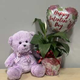Valentine Plant & Lavender Bear