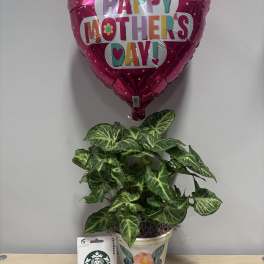 Mom’s Day Planter & Starbucks