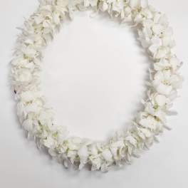 Ring-shaped garland of densely strung white orchid blooms on a white background