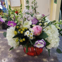 Lovely Blooms