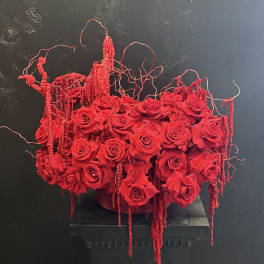 Red rose arrangement with trailing red amaranthus in a low container