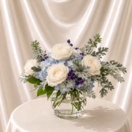 Elegant & Serene
