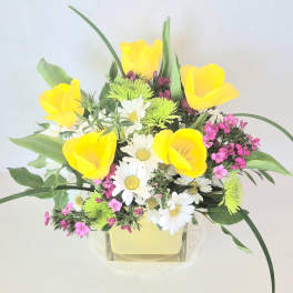 Bright Spring Cube