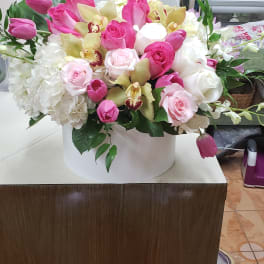 Box #8