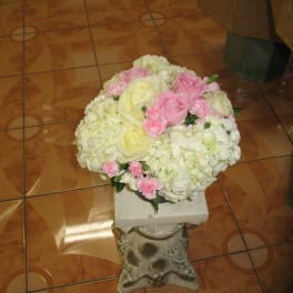 Hydrangea #17