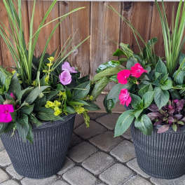 Two potted mixed flower planters with pink blooms and tall grass-like foliage