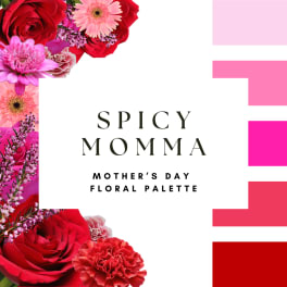 Spicy Momma