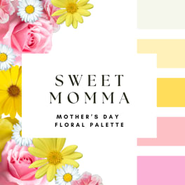 Sweet Momma