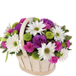 Basket of white daisies, purple carnations, and pink blooms