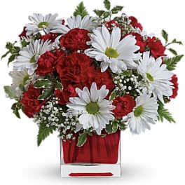 Red carnations and white daisies in a clear glass vase