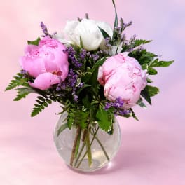 Peony Petal Dream