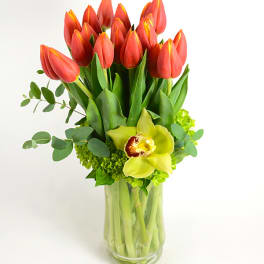 Orange tulips and a green orchid in a glass vase