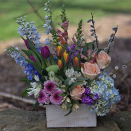 Spring Garden of Joy