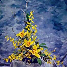Asymmetrical arrangement of yellow orchids and small yellow blooms in a low black container
