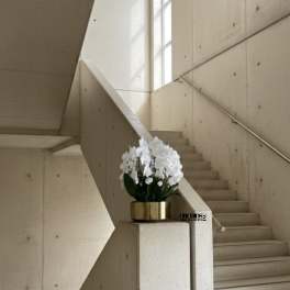 White orchids arranged in a gold planter on a stair landing