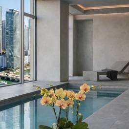Forever Orchid Miami