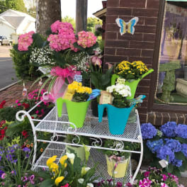 Colorful potted flowers arranged on a white metal stand outside a shop