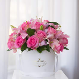 Pink & Perfect