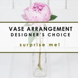 Single pink flower in a clear glass vase with text overlay