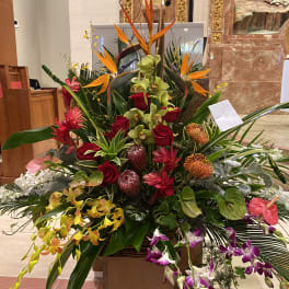 Celebration of Life