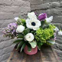 Compact arrangement of white anemones and ranunculus with purple blooms in a pink vase