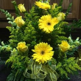 Sympathy in Yellow