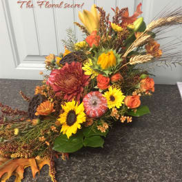 Autumn Harvest
