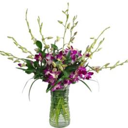 Purple orchids in a clear glass vase with tall branching stems