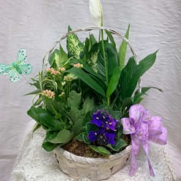 Dish Garden with Blooming Plants