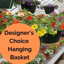 Hanging baskets of colorful flowers in a greenhouse display
