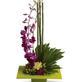 Purple orchid arrangement with bamboo and fan leaves in a green container