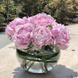 Pink peonies arranged in a round glass vase