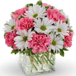 Pink carnations and white daisies arranged in a clear square vase