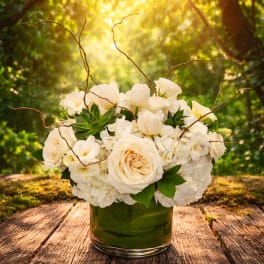 Bloom15 Salome arrangement